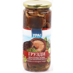 Грибы Грузди